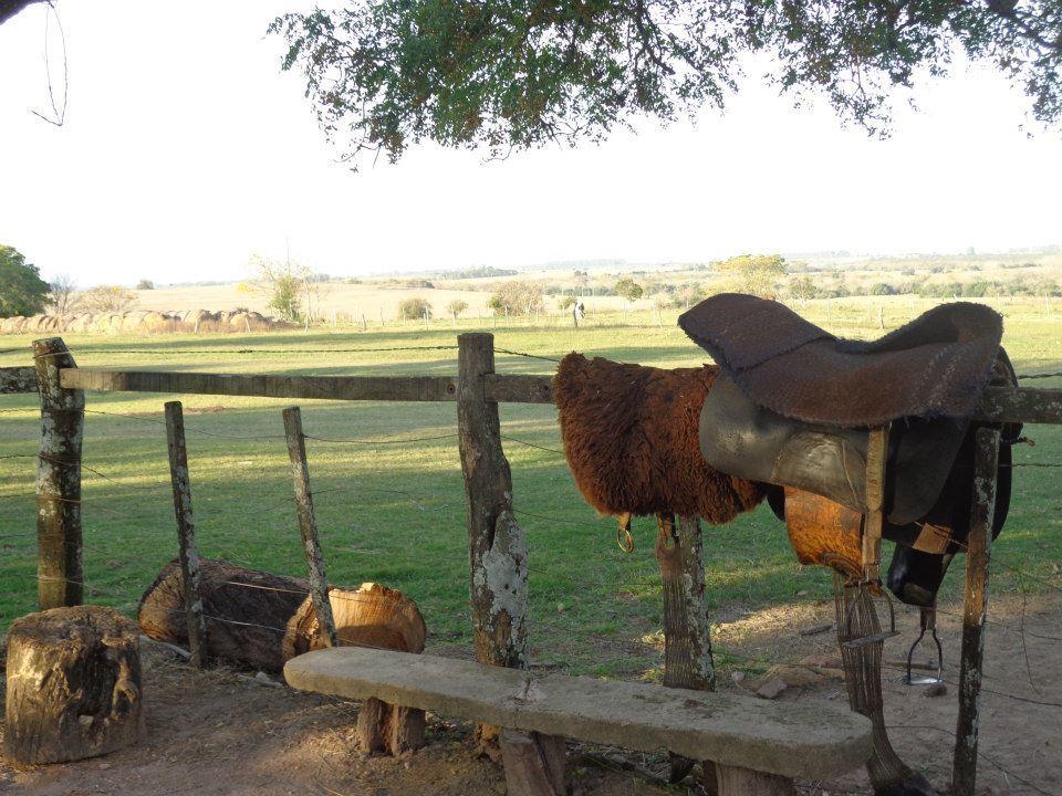 Estancia El Cangue Porvenir Dış mekan fotoğraf
