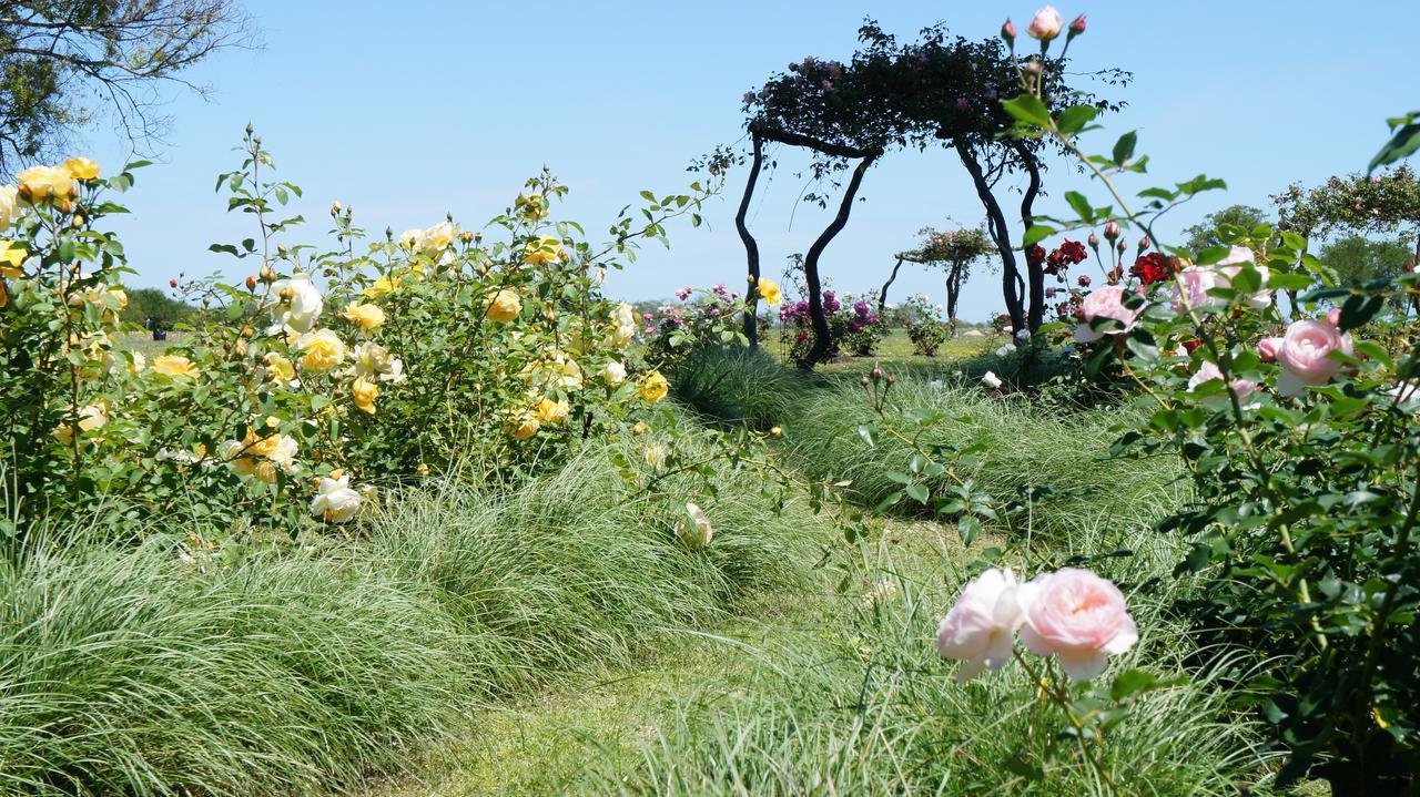 Estancia El Cangue Porvenir Dış mekan fotoğraf