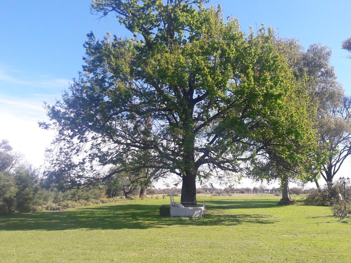 Estancia El Cangue Porvenir Dış mekan fotoğraf