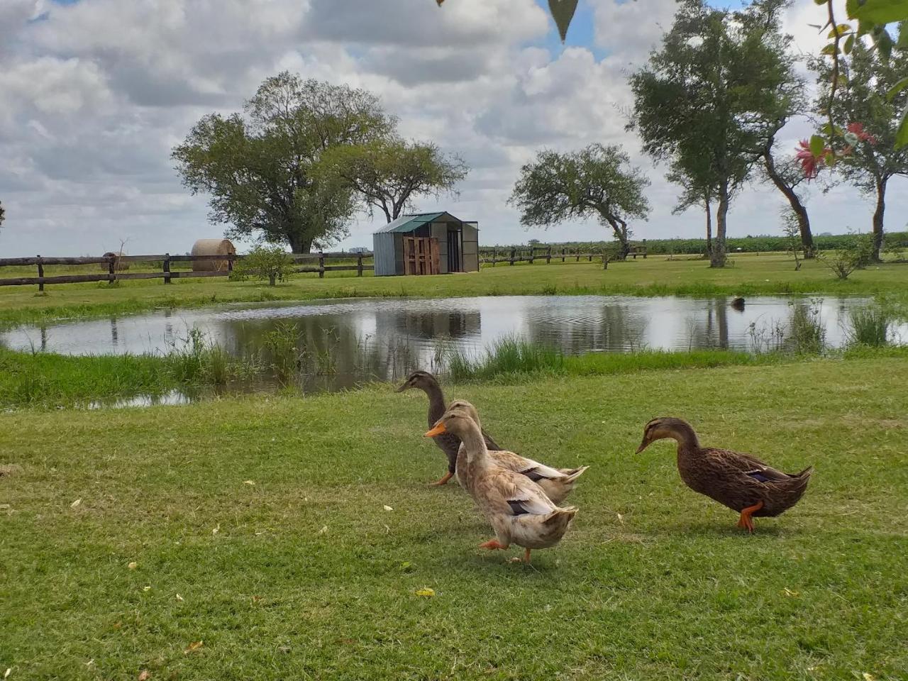 Estancia El Cangue Porvenir Dış mekan fotoğraf